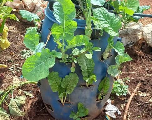 Environmental Sustainability Training