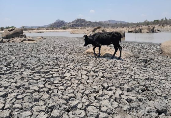 Climate Education Workshops