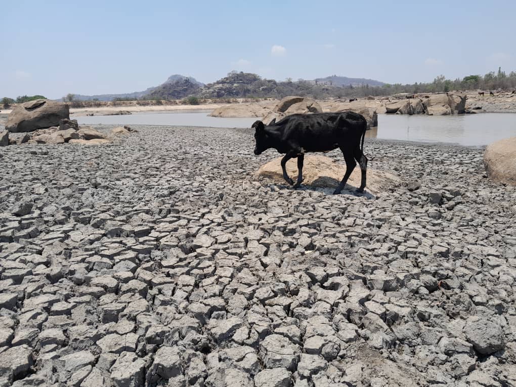 Climate Education Workshops